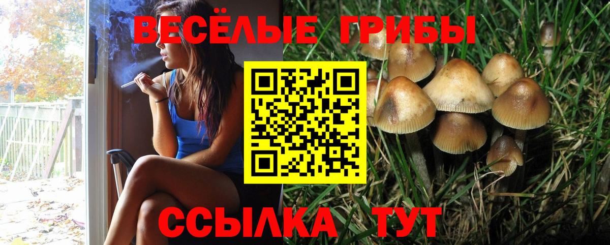 Шадринск  Псилоцибиновые грибы ЛСД  Вход с VPN  Галлюциногенные грибы ЛСД 