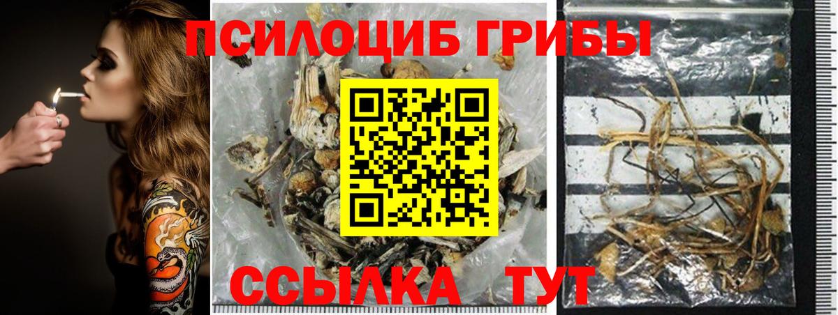 Псилоцибиновые грибы MAGIC MUSHROOMS Шадринск